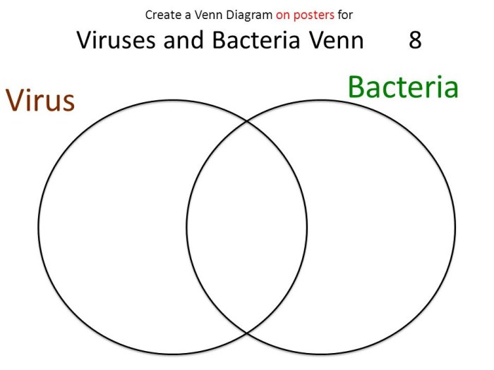 Diagram venn virus bacteria fungal wiring cell