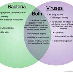 Virus and bacteria venn diagram