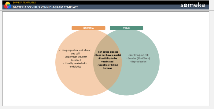 Venn diagram virus bacteria vs science school compu slideplayer middle