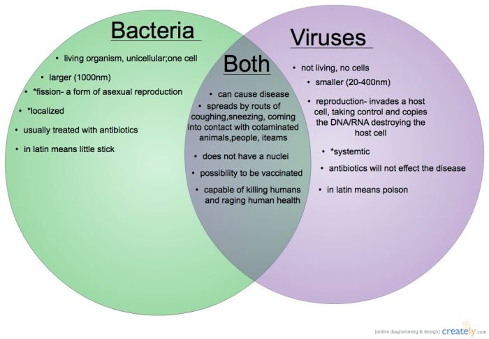 Virus and bacteria venn diagram