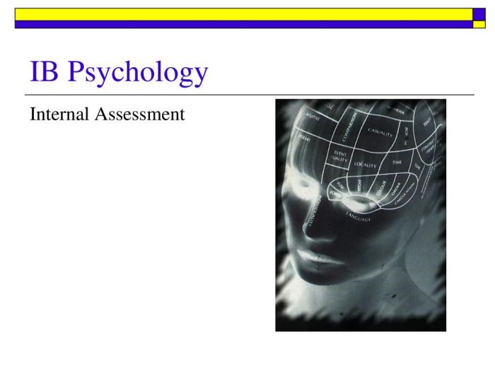Ib psychology internal assessment example