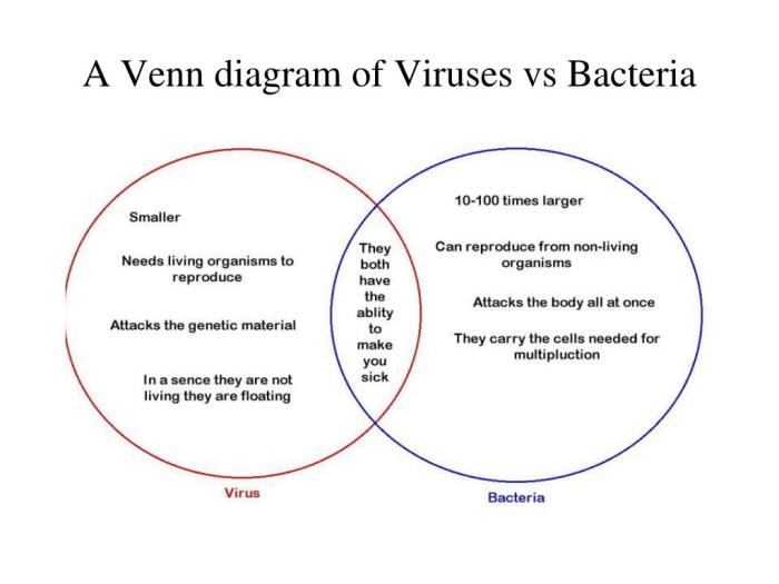 Venn diagram bacteria virus followers