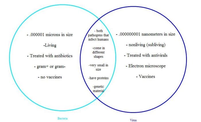 Bacteria venn viruses cells comparing