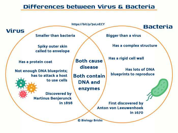 Virus and bacteria venn diagram