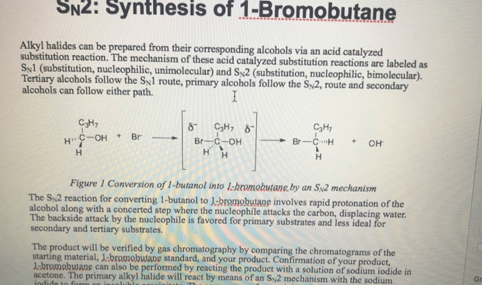 Synthesis of 1 bromobutane lab report